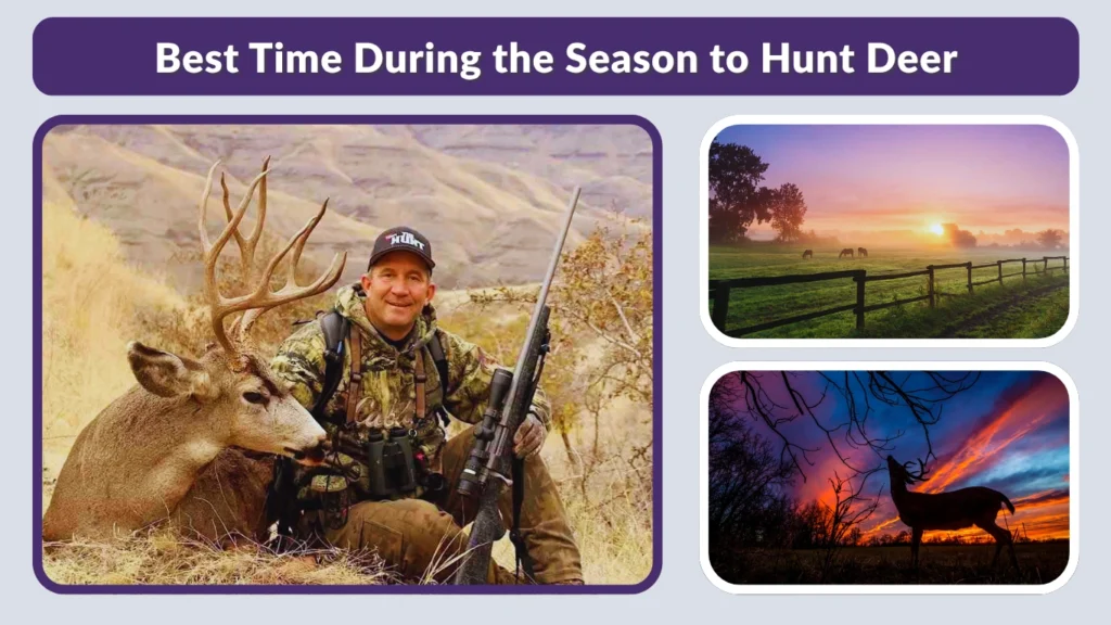 Best Time During the Season to Hunt Deer