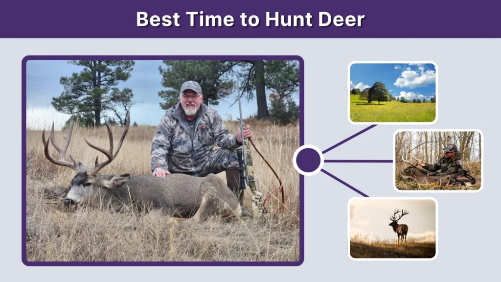 Best Time to Hunt Deer
