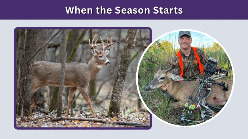 When the Season Starts