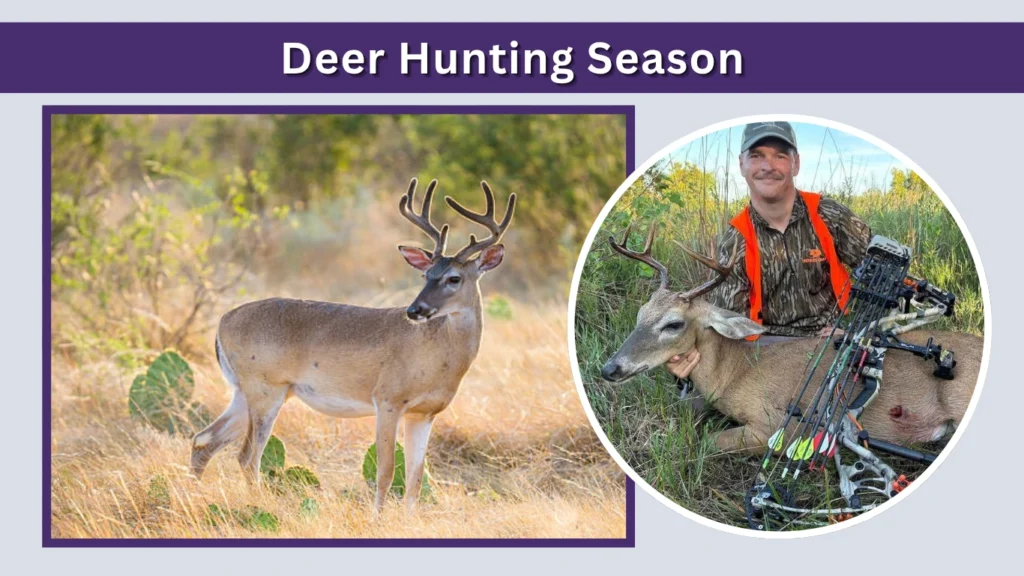 Deer Hunting Season