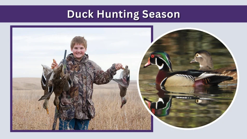 Duck Hunting Season