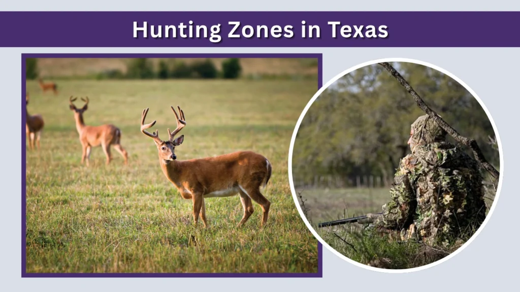 Hunting Zones in Texas