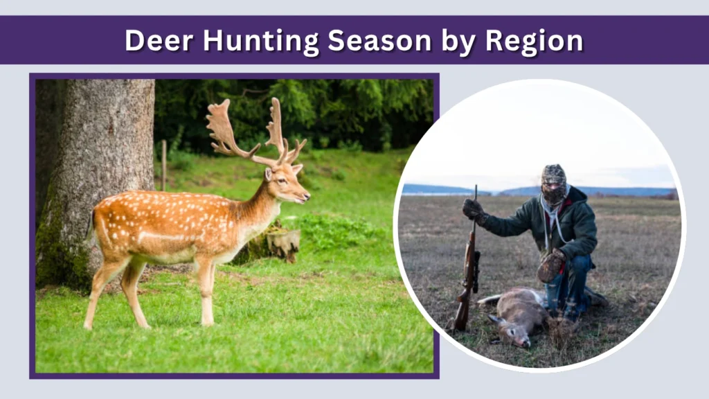 Deer Hunting Season by Region