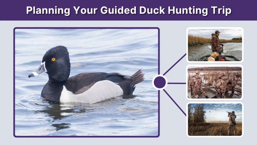 Planning Your Guided Duck Hunting Trip