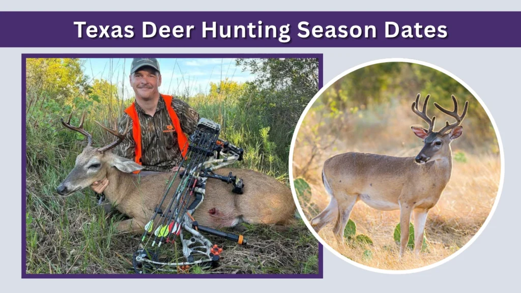 Texas Deer Hunting Season Dates