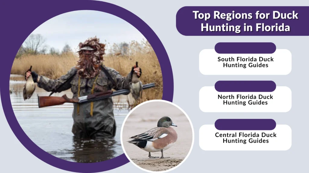 Top Regions for Duck Hunting in Florida