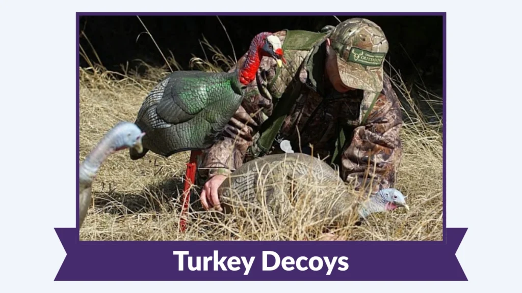 Turkey Decoys