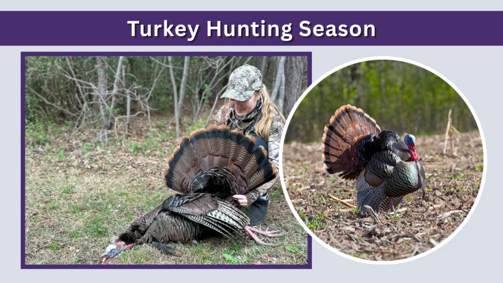 Turkey Hunting Season