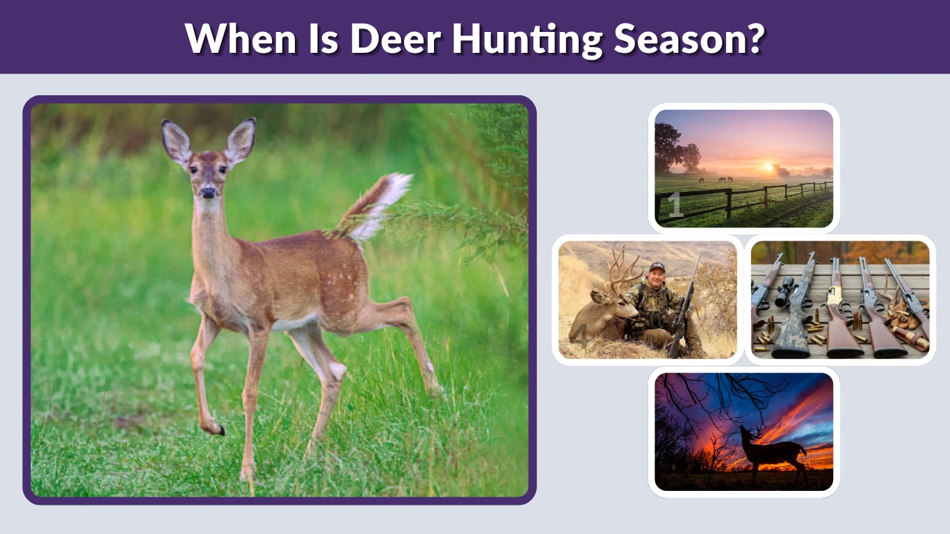 When Is Deer Hunting Season Complete Beginner’s Guide