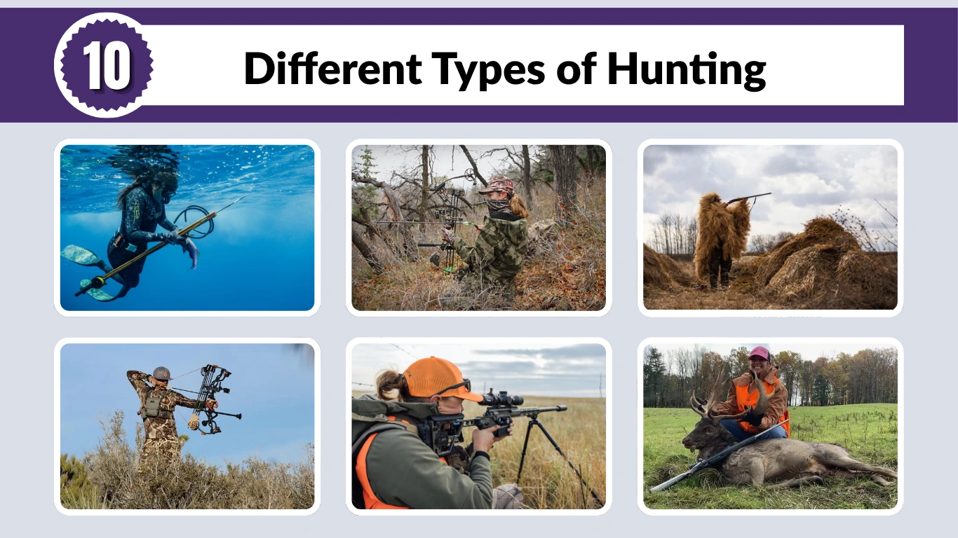 10 Different Types of Hunting Methods Explained