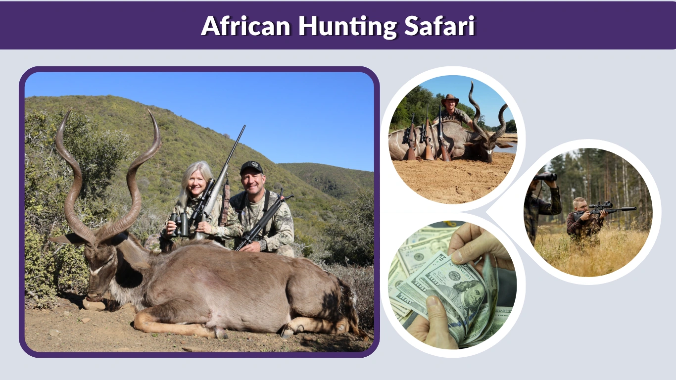 African Hunting Safari: Costs, Packages, South Africa Hunts & Travel Guide