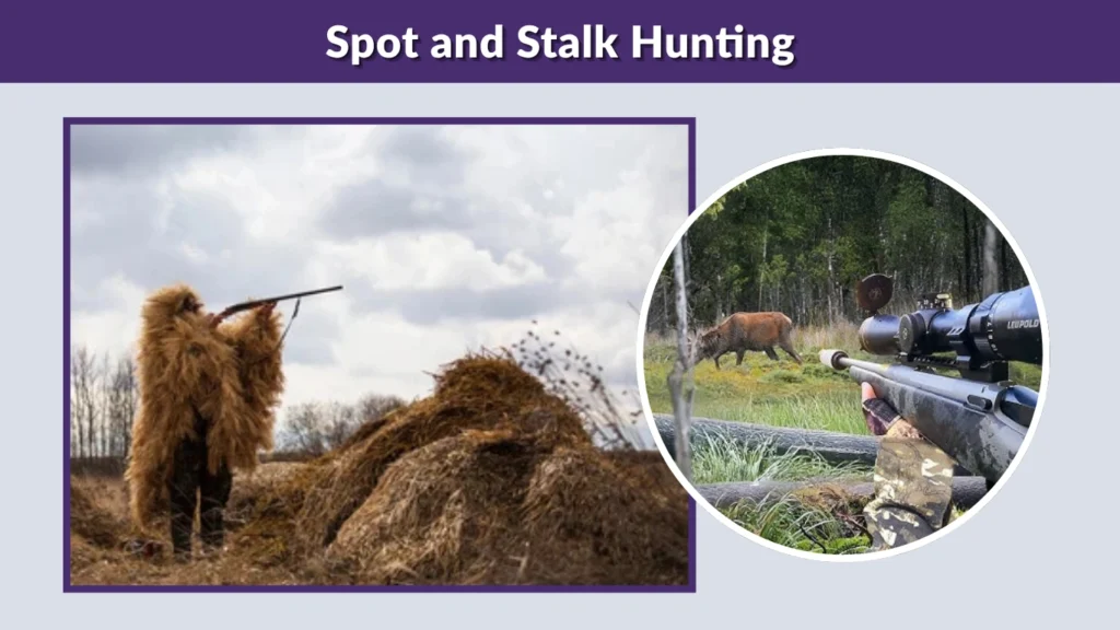 Ambush Hunting