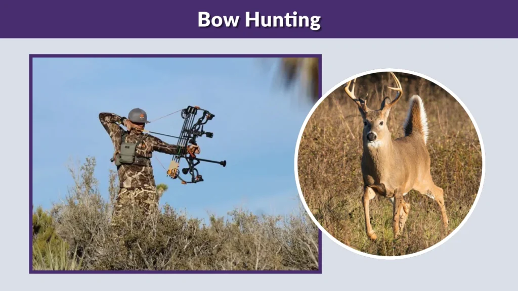 Bow Hunting