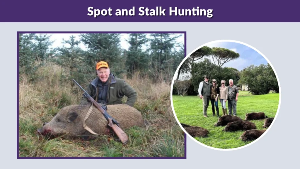 Driven Hunt