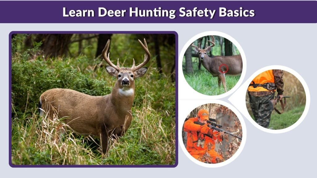 Learn Deer Hunting Safety Basics