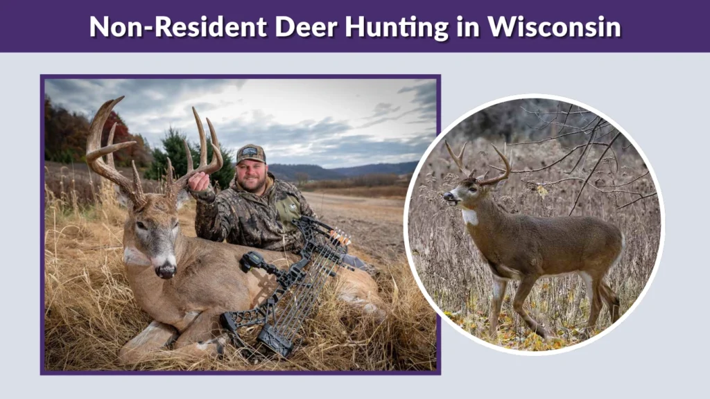 Non-Resident Deer Hunting in Wisconsin