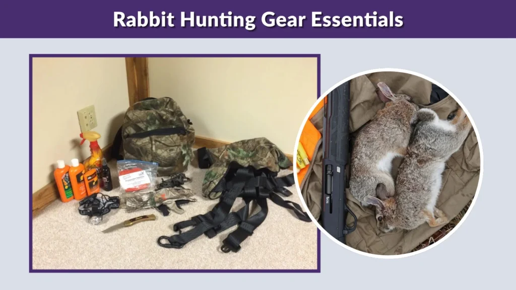 Rabbit Hunting Gear Essentials