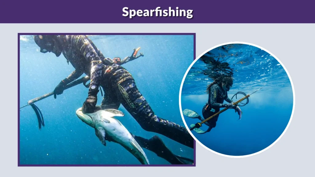 Spearfishing