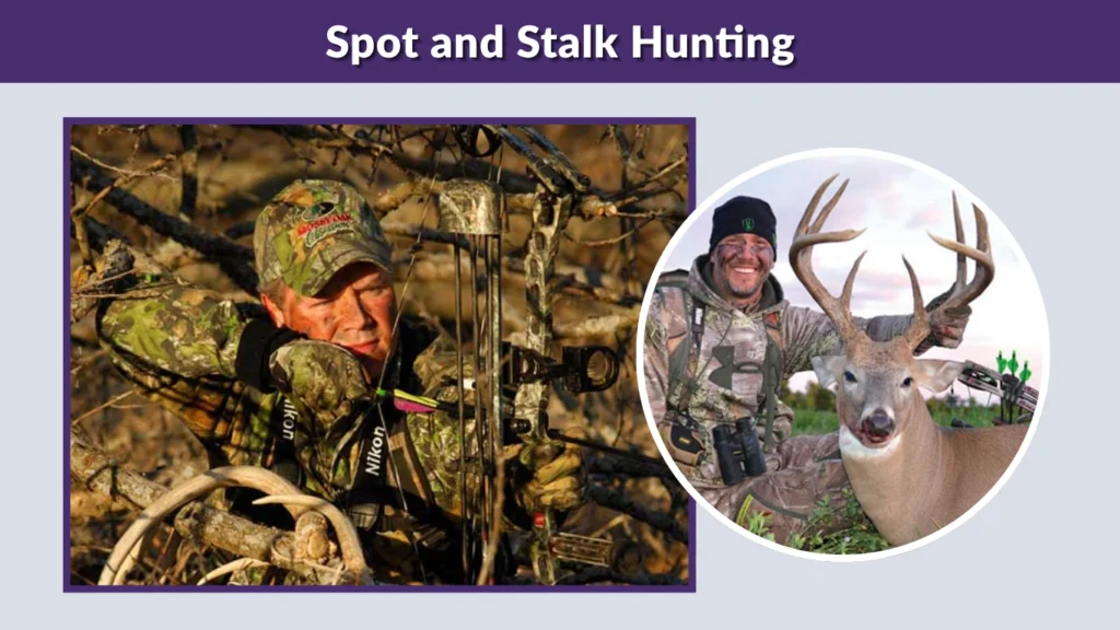 Spot and Stalk Hunting