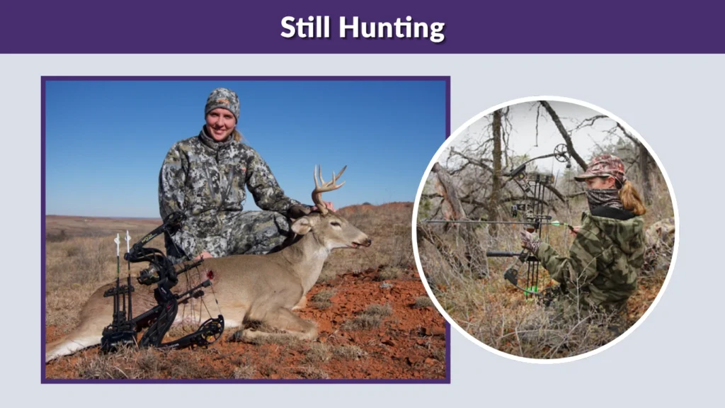 Still Hunting