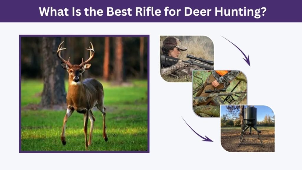 What Is the Best Rifle for Deer Hunting?