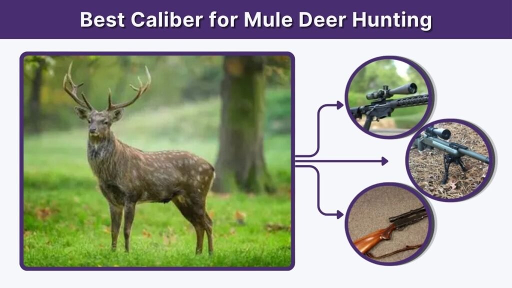 Best Caliber for Mule Deer Hunting