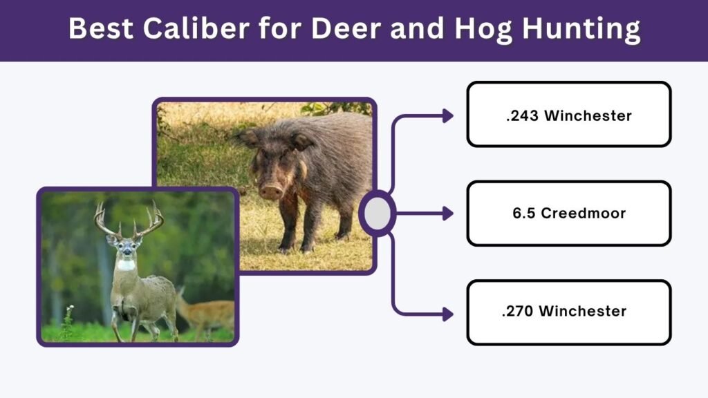 Best Caliber for Deer and Hog Hunting