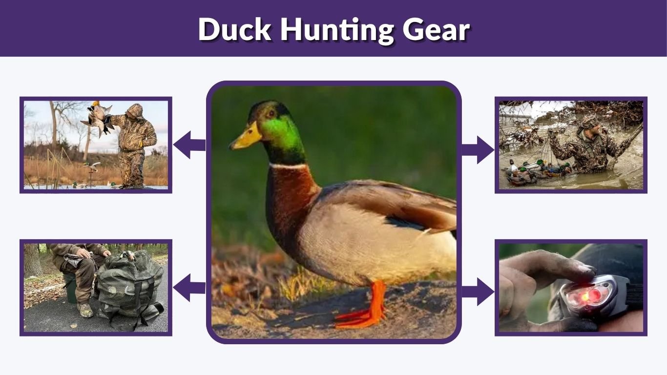 Duck Hunting Gear: Essential Equipment and Complete Checklist