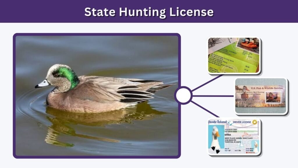 State Hunting License