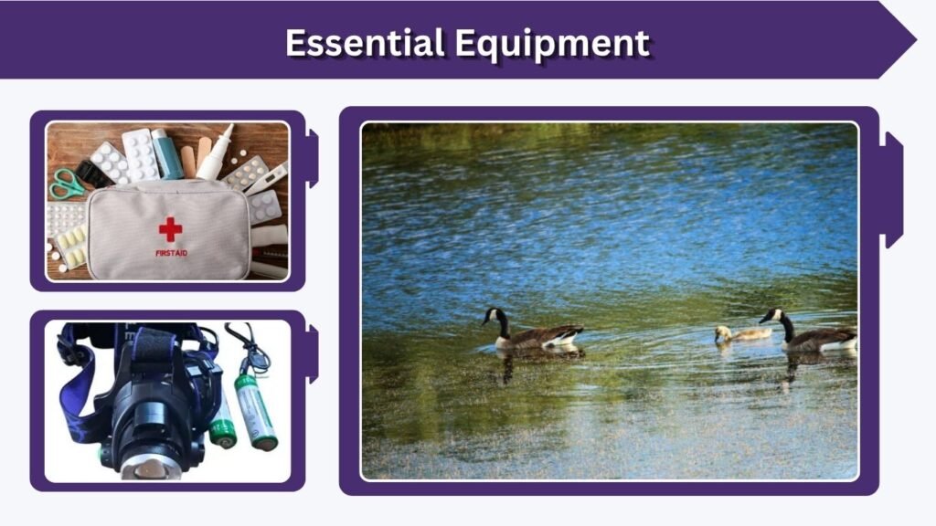 Essential Equipment