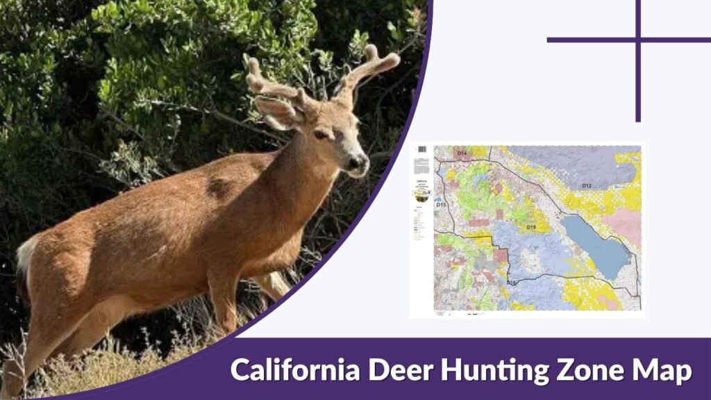 California Deer Hunting Zone Map