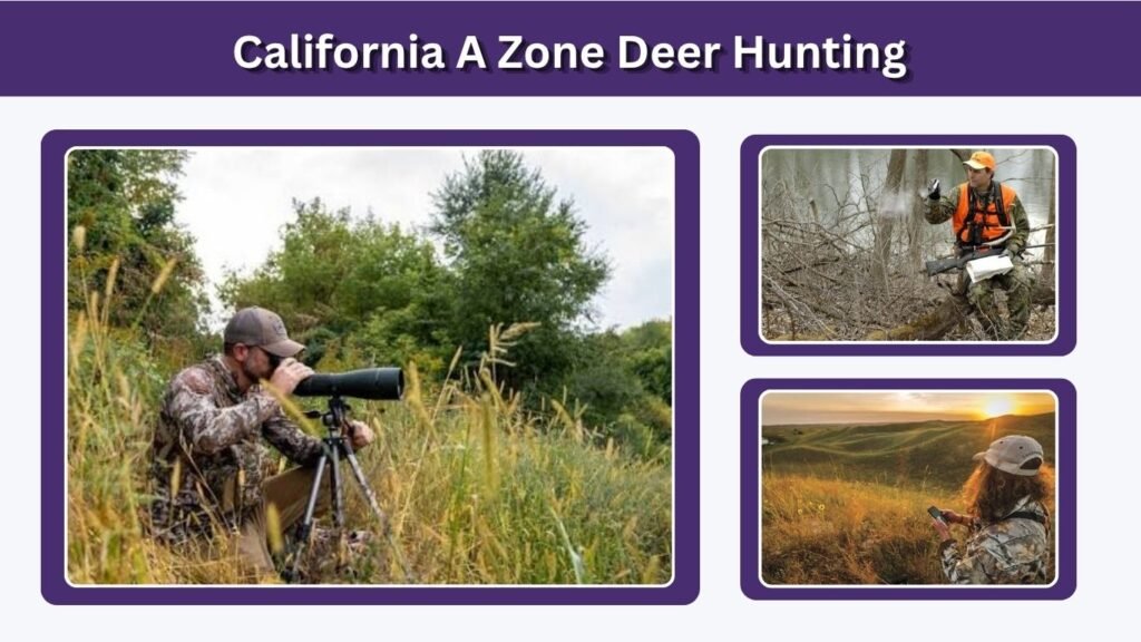 California A Zone Deer Hunting