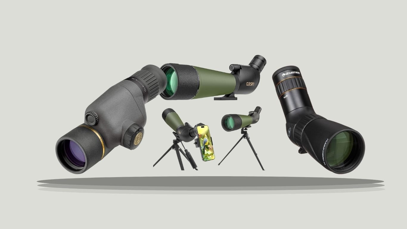 6 Best Compact Spotting Scopes for Clear Long-Range Viewing