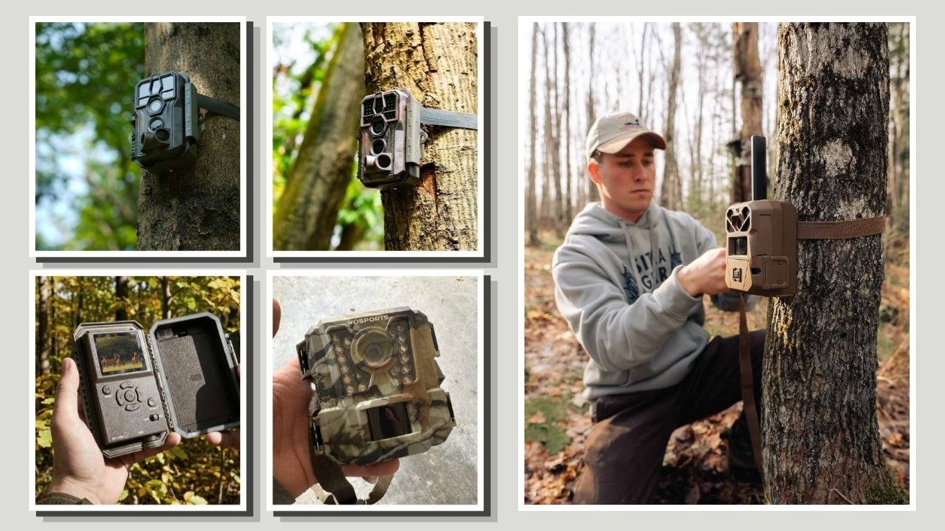 10 Best Hunting Trail Cameras for Reliable Wildlife Monitoring