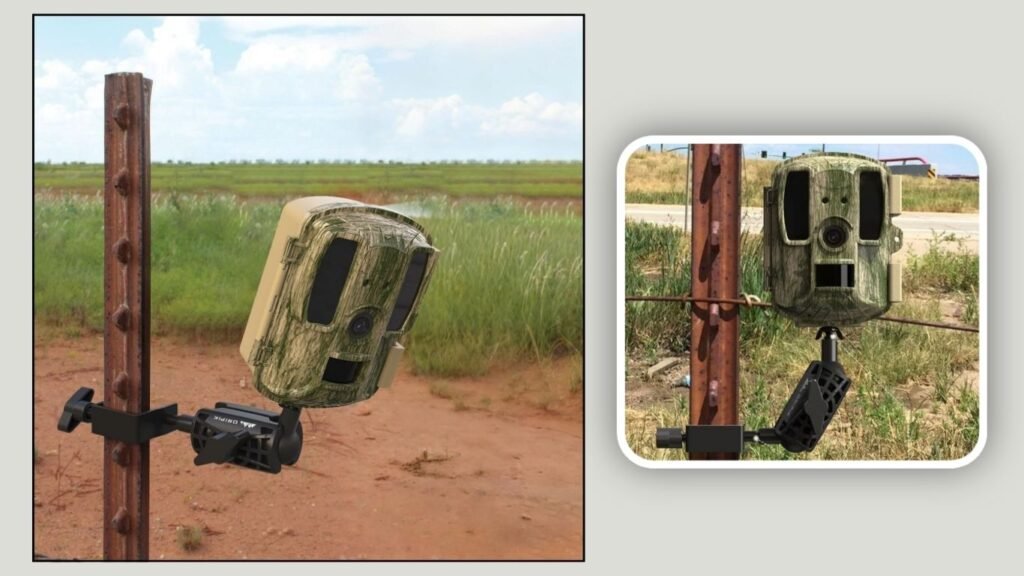 Adjustable Tool-Free Trail Camera Mount