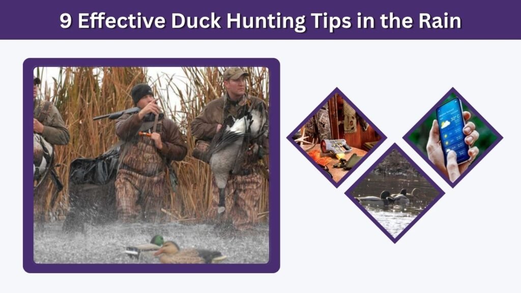 9 Effective Duck Hunting Tips in the Rain