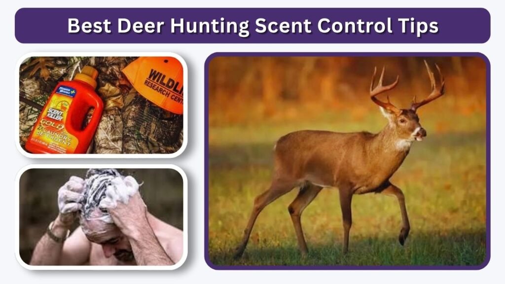Best Deer Hunting Scent Control Tips