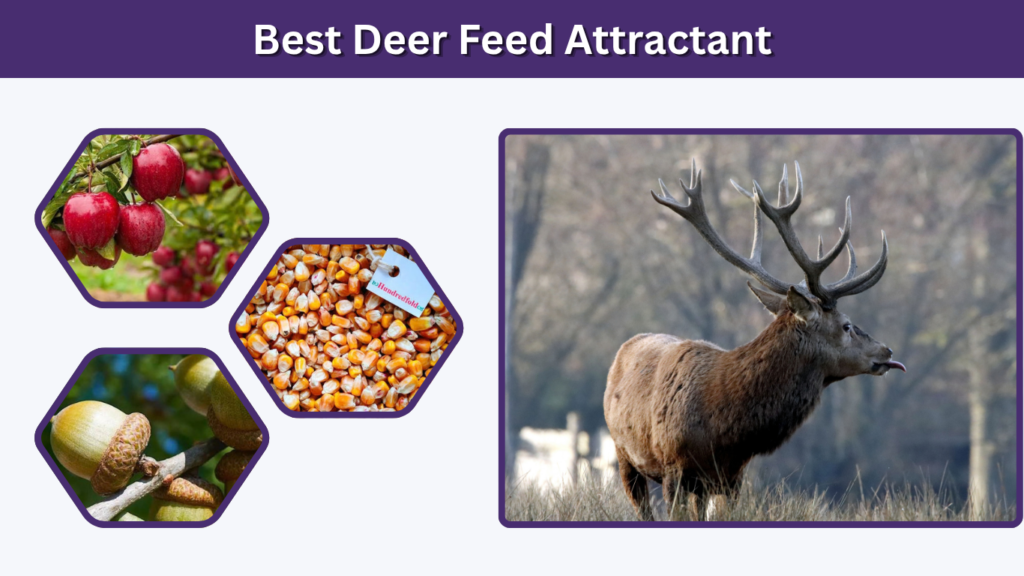 Best Deer Feed Attractant