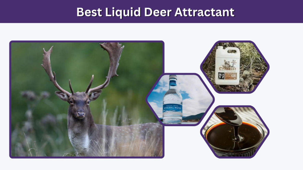Best Liquid Deer Attractant