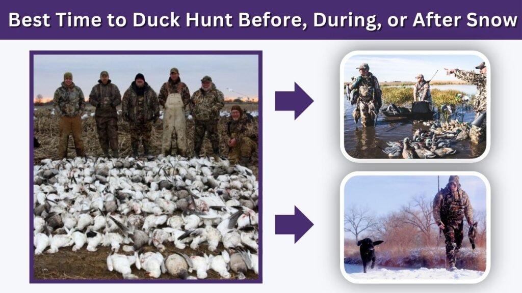 Best Time to Duck Hunt Before, During, or After Snow