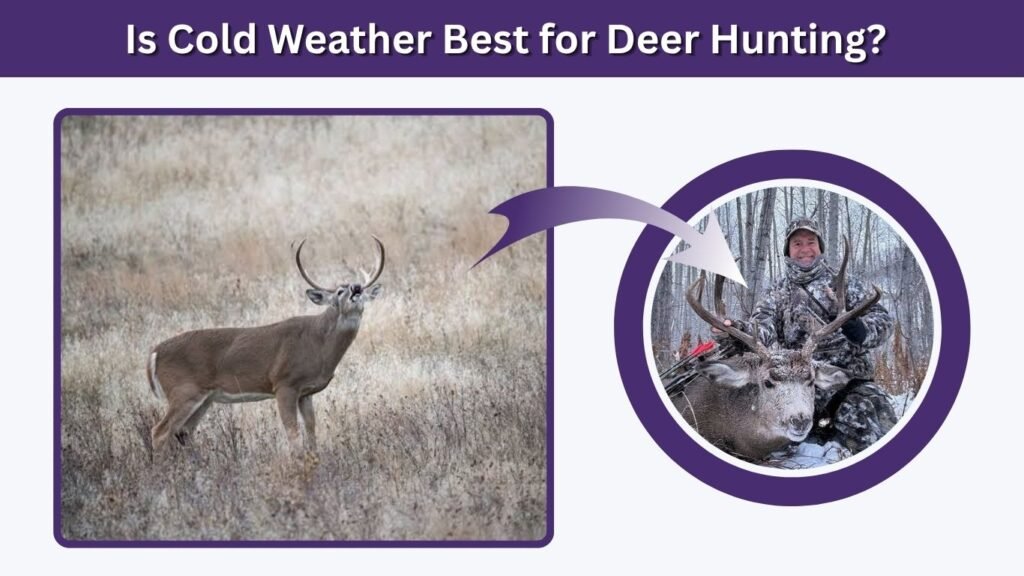 Is Cold Weather Best for Deer Hunting?