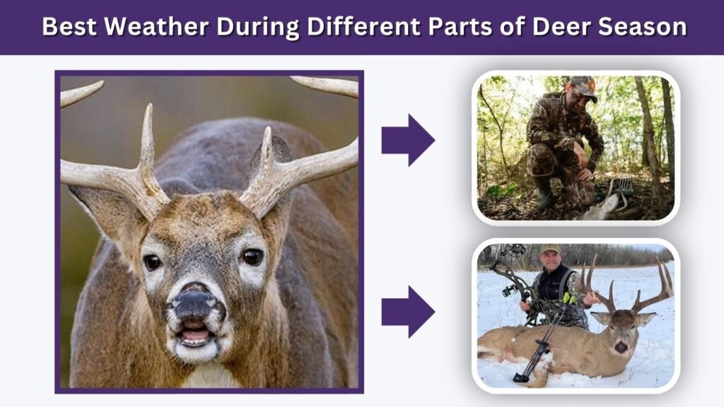 Best Weather During Different Parts of Deer Season
